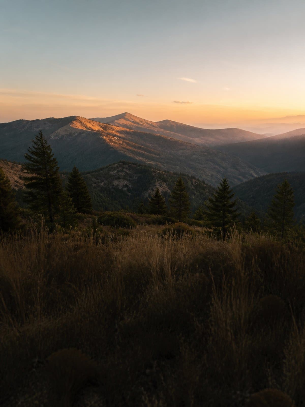 Late sunlight touches a western ridgeline above shaded grasses and layered mountains.
